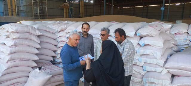 ایلام ظرفیت تولید بذر را کیفی دارد/نتیجه پایش‌ها مبنای برنامه‌های بهبود کیفیت خواهد بود