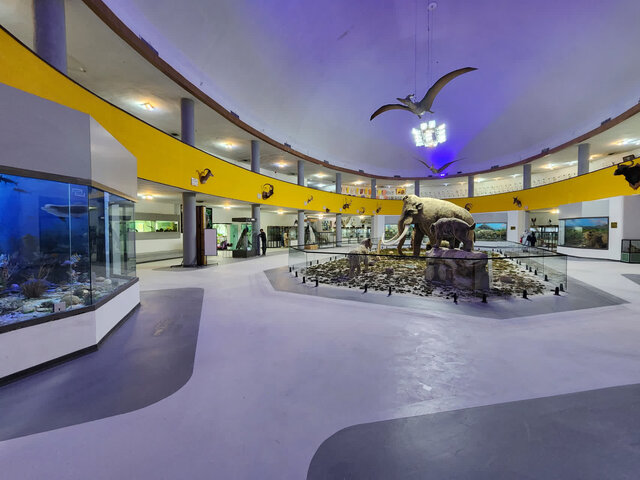 غنی‌ترشدن گنجینه زمین‌شناسی موزه تاریخ‌ طبیعی دانشگاه شیراز