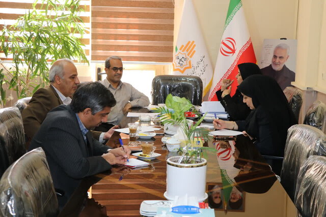 ۹۰ درصد روستاهای بزرگ کرمان مجهز به دوربین‌های پایش تصویری شدند