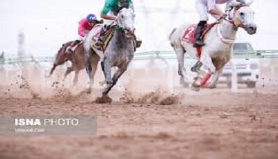 تهدید نژاد اصیل اسب سیستانی با ورود بی‌رویه اسب‌های غیر بومی