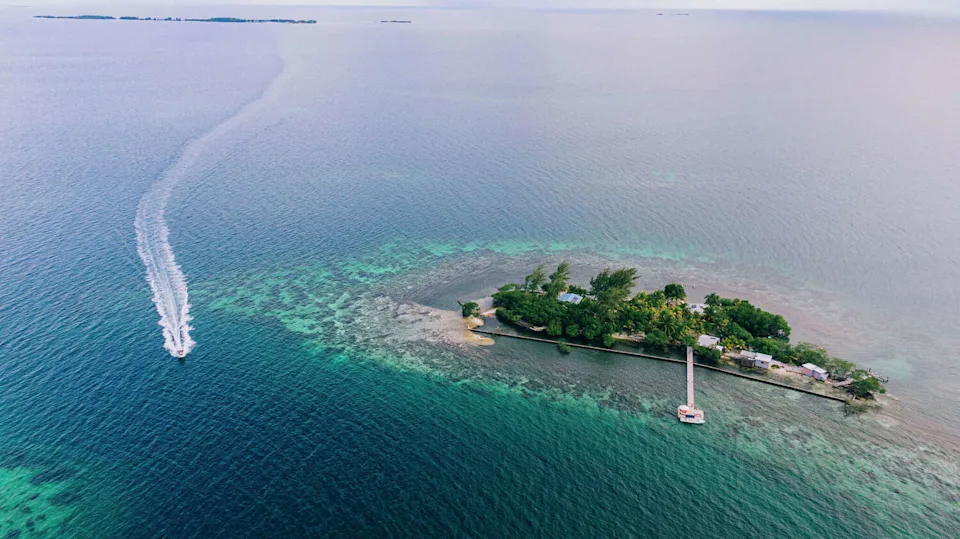 کوپولا جزیره شخصیاش را فروخت