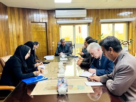 طرح تحقیقاتی و توسعه‌ای باغات دیم در ایلام کلید می‌خورد