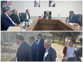 بررسی آخرین وضعیت باغ وحش صفادشت