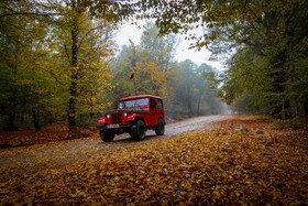 سوادکوه؛ مقصدی برای تماشای زودترین پاییز شمال