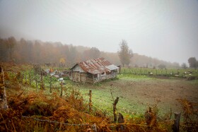 سوادکوه؛ مقصدی برای تماشای زودترین پاییز شمال