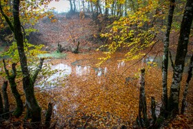 سوادکوه؛ مقصدی برای تماشای زودترین پاییز شمال