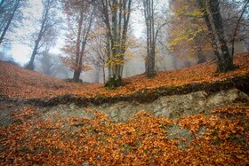 سوادکوه؛ مقصدی برای تماشای زودترین پاییز شمال