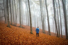 سوادکوه؛ مقصدی برای تماشای زودترین پاییز شمال