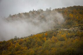 سوادکوه؛ مقصدی برای تماشای زودترین پاییز شمال