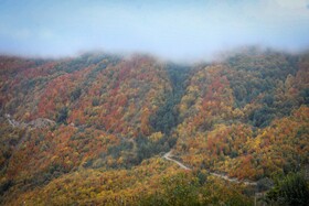 سوادکوه؛ مقصدی برای تماشای زودترین پاییز شمال