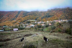 سوادکوه؛ مقصدی برای تماشای زودترین پاییز شمال