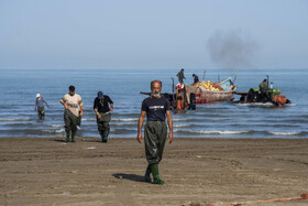 صید ماهی به روش پره _ساحل گهرباران ساری