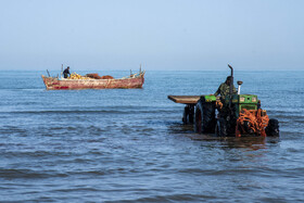 صید ماهی به روش پره _ساحل گهرباران ساری