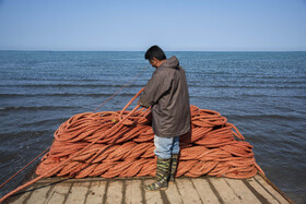 تورهایی که به دریا انداخته شده توسط یکی از صیادان با نظم ودقت خاصی جمع آوری میشود و آماده به دریا انداختن در مرحله بعدی میشود.