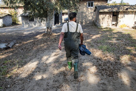 صیاد بعد از شنیدن صدای سوت آماده رفتن به سمت دریاست