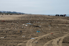 آلودگی سواحل گهرباران،محل صید ماهی استخوانی