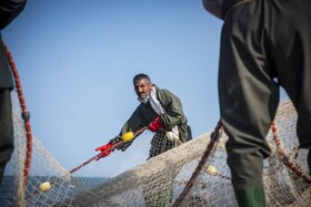 صید ماهی به روش پره _ساحل گهرباران ساری