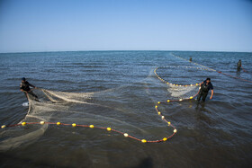 صید ماهی به روش پره _ساحل گهرباران ساری