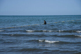 صید ماهی به روش پره _ساحل گهرباران ساری