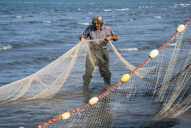 صید ماهی به روش پره _ساحل گهرباران ساری