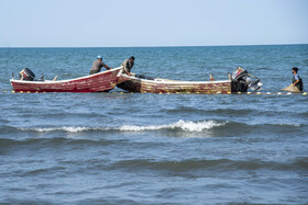 صید ماهی به روش پره _ساحل گهرباران ساری