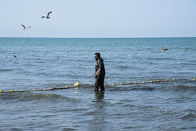 صید ماهی به روش پره _ساحل گهرباران ساری