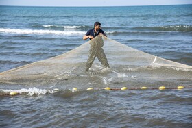 صید ماهی به روش پره _ساحل گهرباران ساری