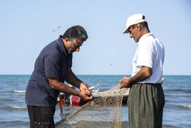 صید ماهی به روش پره _ساحل گهرباران ساری
