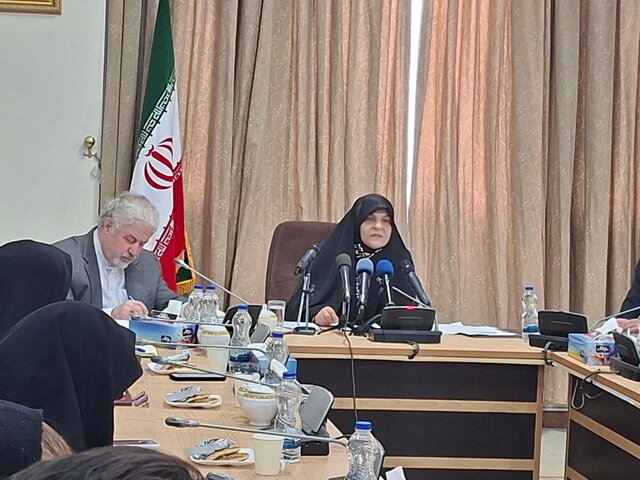 ودیعتی: تهیه گزارش‌های حقوق بشری وظیفه‌ای اخلاقی برای کشورهای مستقل است