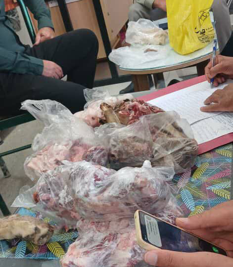 کشف محموله سنگین شکار غیرمجاز از دنا