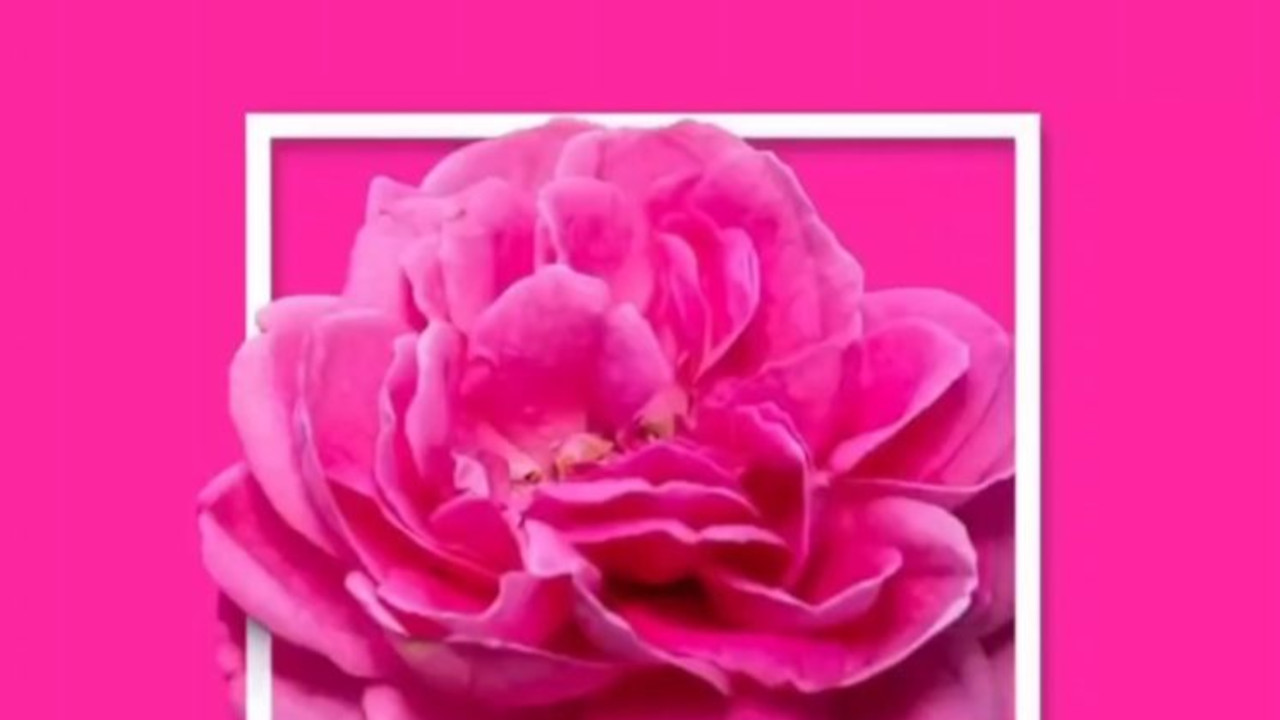 ۹ رنگی که در دنیا به نام ایران میشناسند+عکس