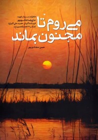  شکری‌پور رفت تا مجنون بماند 