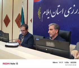 کمیسیون تخصصی امنیت تولید و پایدار غذای ایلام برگزار شد