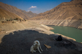 وضعیت سد امیرکبیر - ۱۹ آبان
