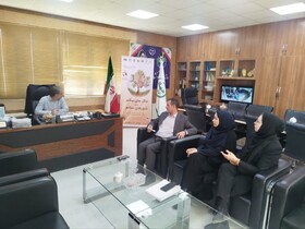 رئیس جهاد کشاورزی ایلام: افزایش آگاهی عمومی درباره اهمیت خاک ضرورت دارد