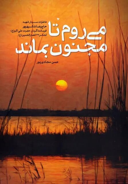  شکری‌پور رفت تا مجنون بماند 