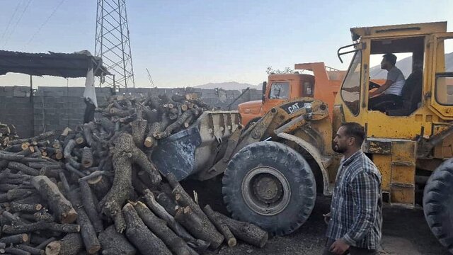 کشف ۲۵ تن هیزم و ۱۱ تن زغال از قاچاقچیان چوب در کازرون