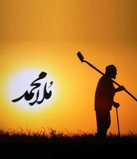 مستند در قاب سیما