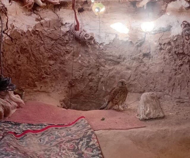 شناسایی کوخه غیرمجاز صیادان پرندگان شکاری در آرادان و کشف ۲ دلیجه گرفتار