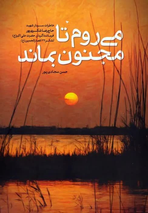  شکری‌پور رفت تا مجنون بماند 