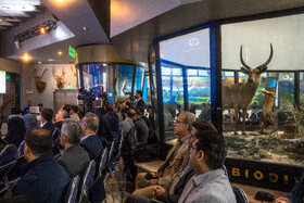 افتتاح بزرگ‌ترین نیروگاه خورشیدی دستگاه‌های اجرایی کشور