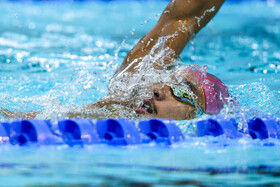 بازی‌های کشورهای اسلامی ۲۰۲۵ ریاض - مسابقات شنای مردان