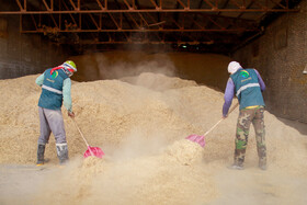 مزرعه دامپروری چپرقویمه - گنبد