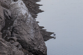 وضعیت سد لتیان - ۲۰ آبان