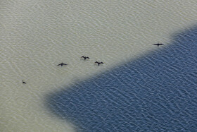 وضعیت سد لتیان - ۲۰ آبان