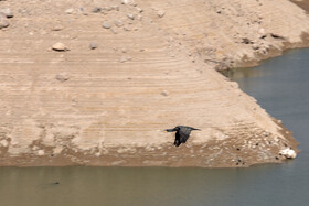 وضعیت سد لتیان - ۲۰ آبان