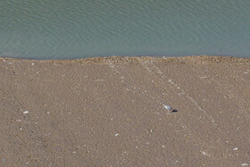 وضعیت سد لتیان - ۲۰ آبان