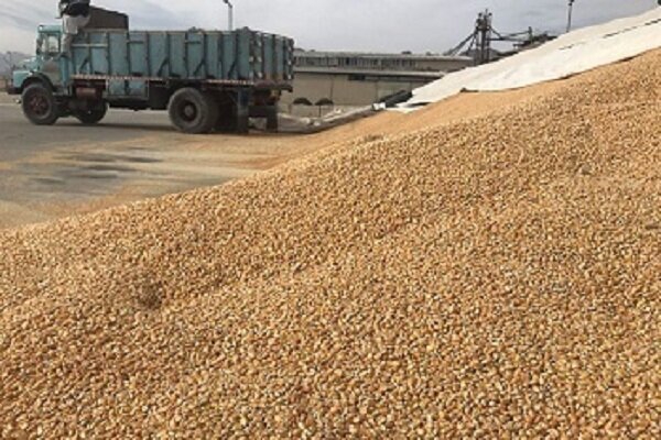 استفاده از نهاده‌های غیرمجاز عامل آلودگی منابع پایه و به خطر افتادن سلامت محصولات ‌