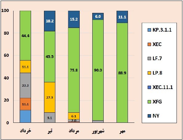 آنفلوآنزا در صدر ویروسهای تنفسی کشور در هفته دوم آبانماه