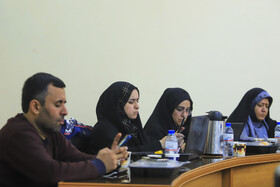 نشست وزیر نیرو با نمایندگان مجلس و مدیران صنعت آب و برق استان کرمان